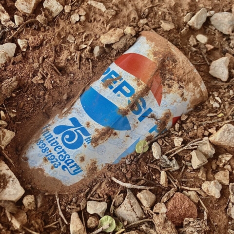 Photo of Rusty Soda can buried in dirt and surrounded by rocks