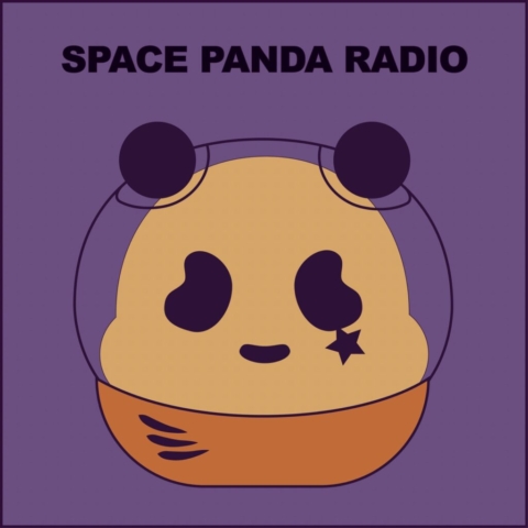 Space Panda Radio logo with halloween colors. The panda has a star under its right eye and is wearing an orange space helmet. The text above says "space panda radio" in a bold font.