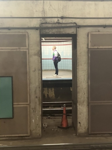 A person is shown waiting for a train