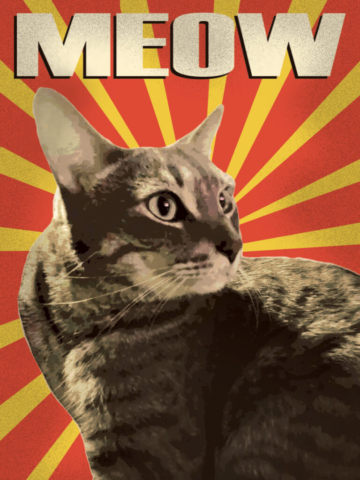 A cat with the text "Meow" above him and yellow sun beams. Based on old propaganda posters.